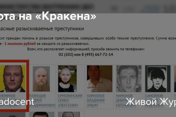 Кракен даркнет ссылка