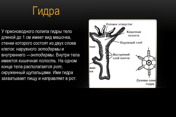Kraken вход kraken torion